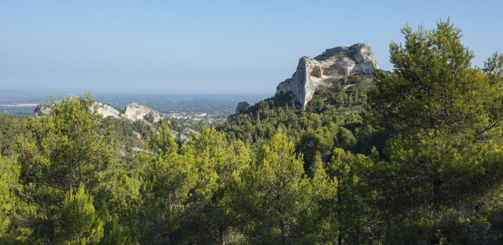 Landscape in Saint-Rémy-de-Provence