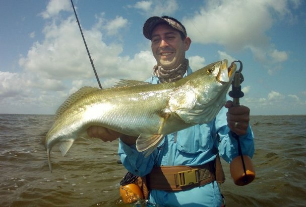 speckled trout - baffin bay