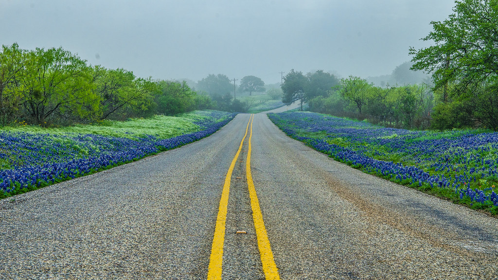 Remembering Springtime in the Texas Hill Country