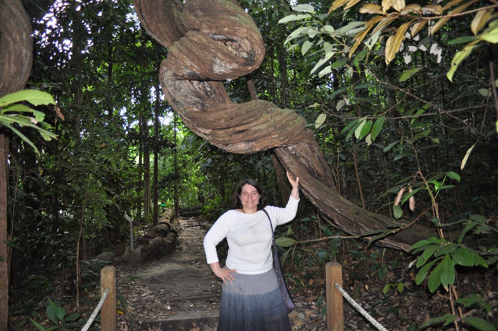 Me with a giant root on a trail in Bukit Timah Nature Reserve Singapore