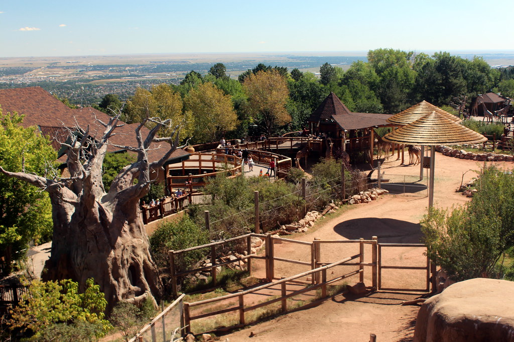 Colorado Springs: Cheyenne Mountain Zoo - The African Rift Valley