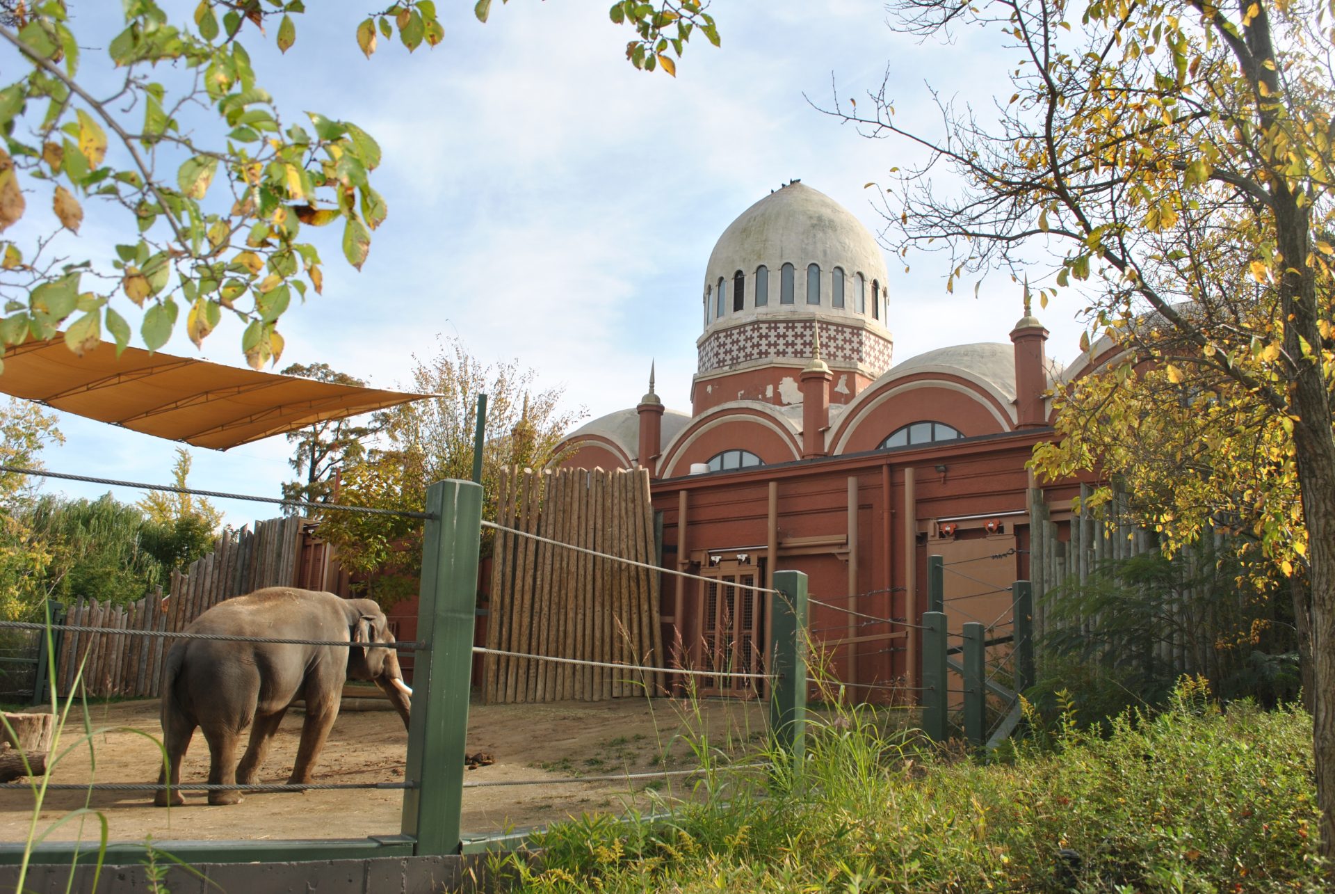Cincinnati Zoo - Elephant House View