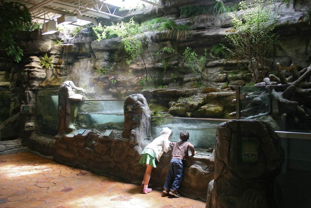 ozark stream exhibit - oklahoma aquarium