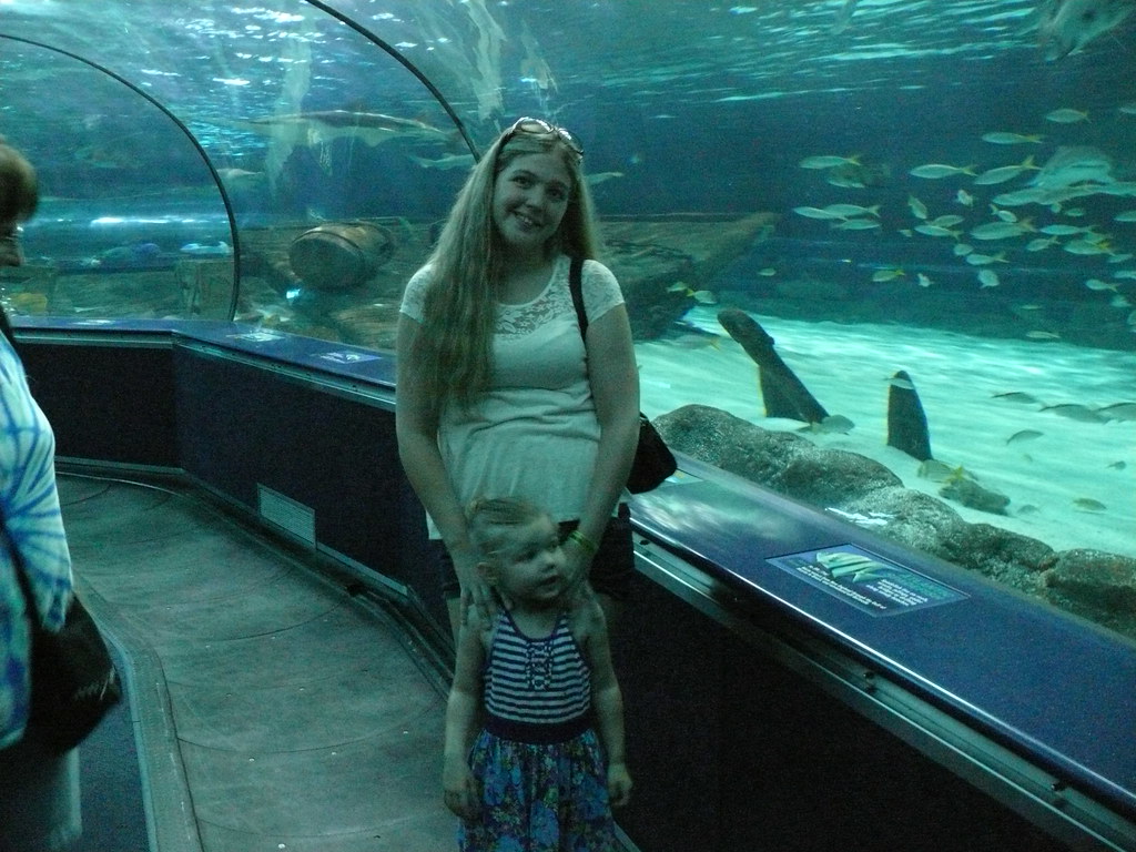 Ripley's Aquarium Myrtle Beach