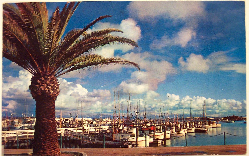 Vintage Postcard - Fishing Pier, San Diego, CA