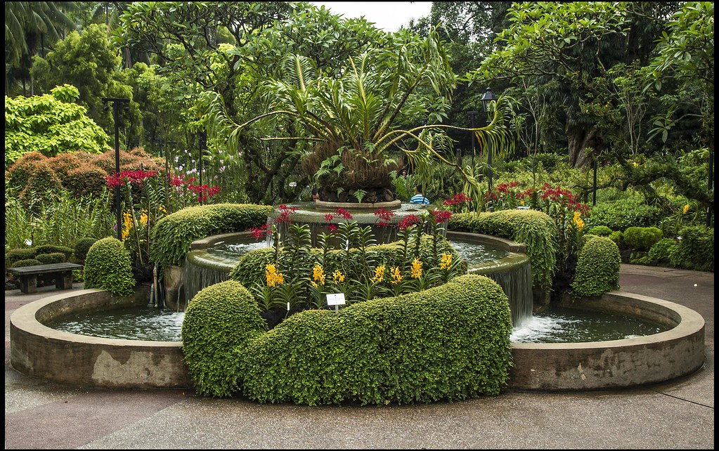 Walk through Singapore Botanic Gardens